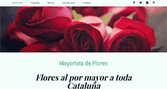 Desktop Screenshot of mayoristadeflores.com